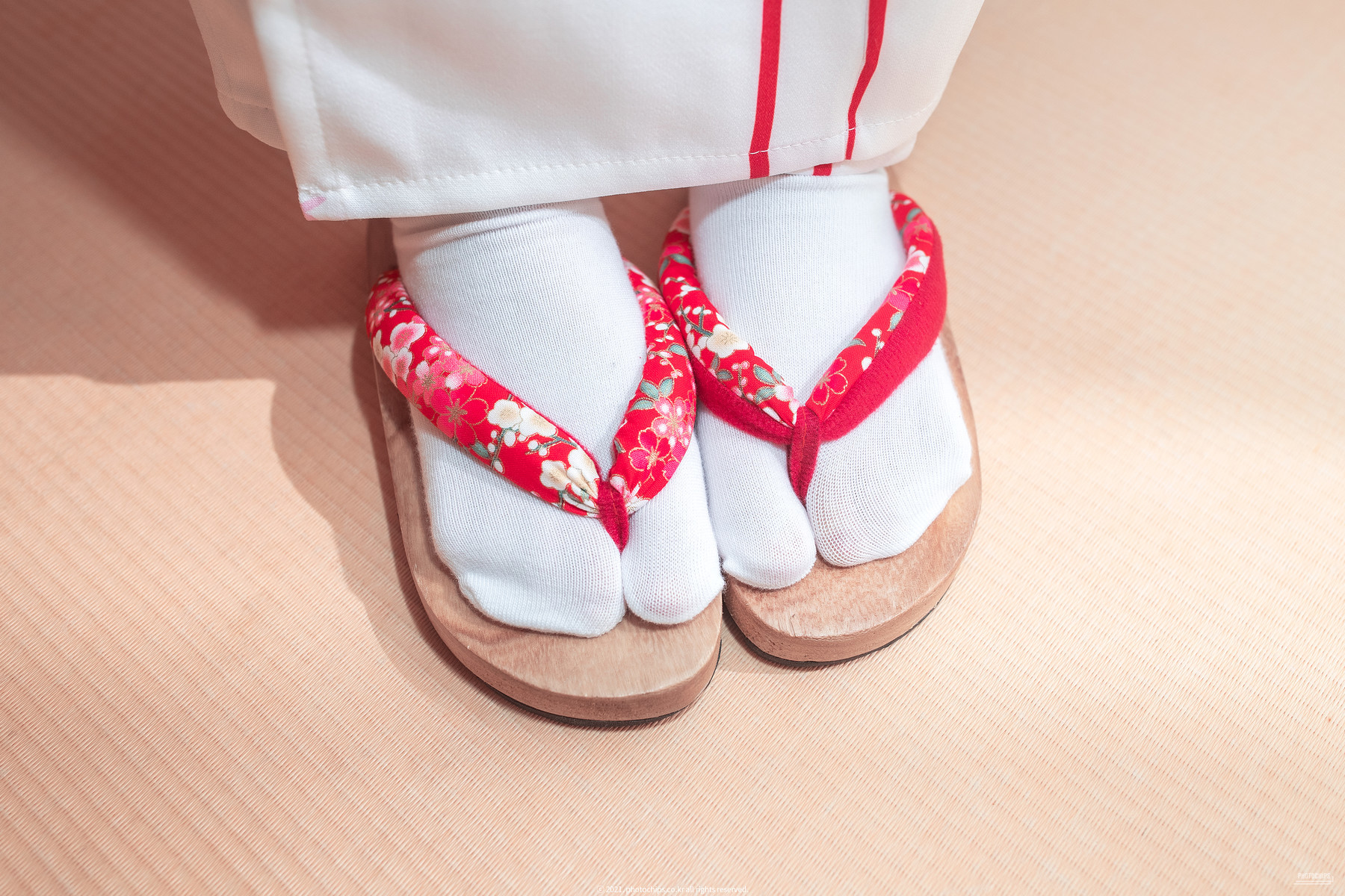 Aram??PhotoChips?????Vol113Set01作品集