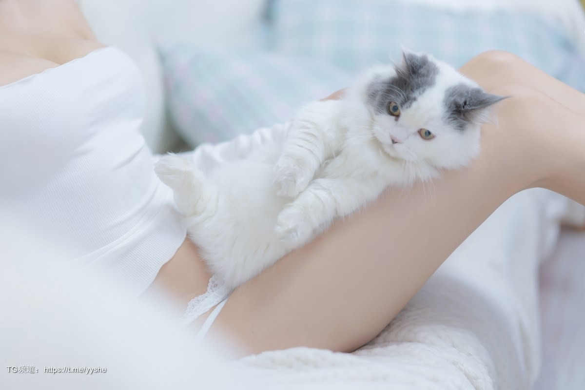 Cos过期米线线喵我和猫90P高清写真