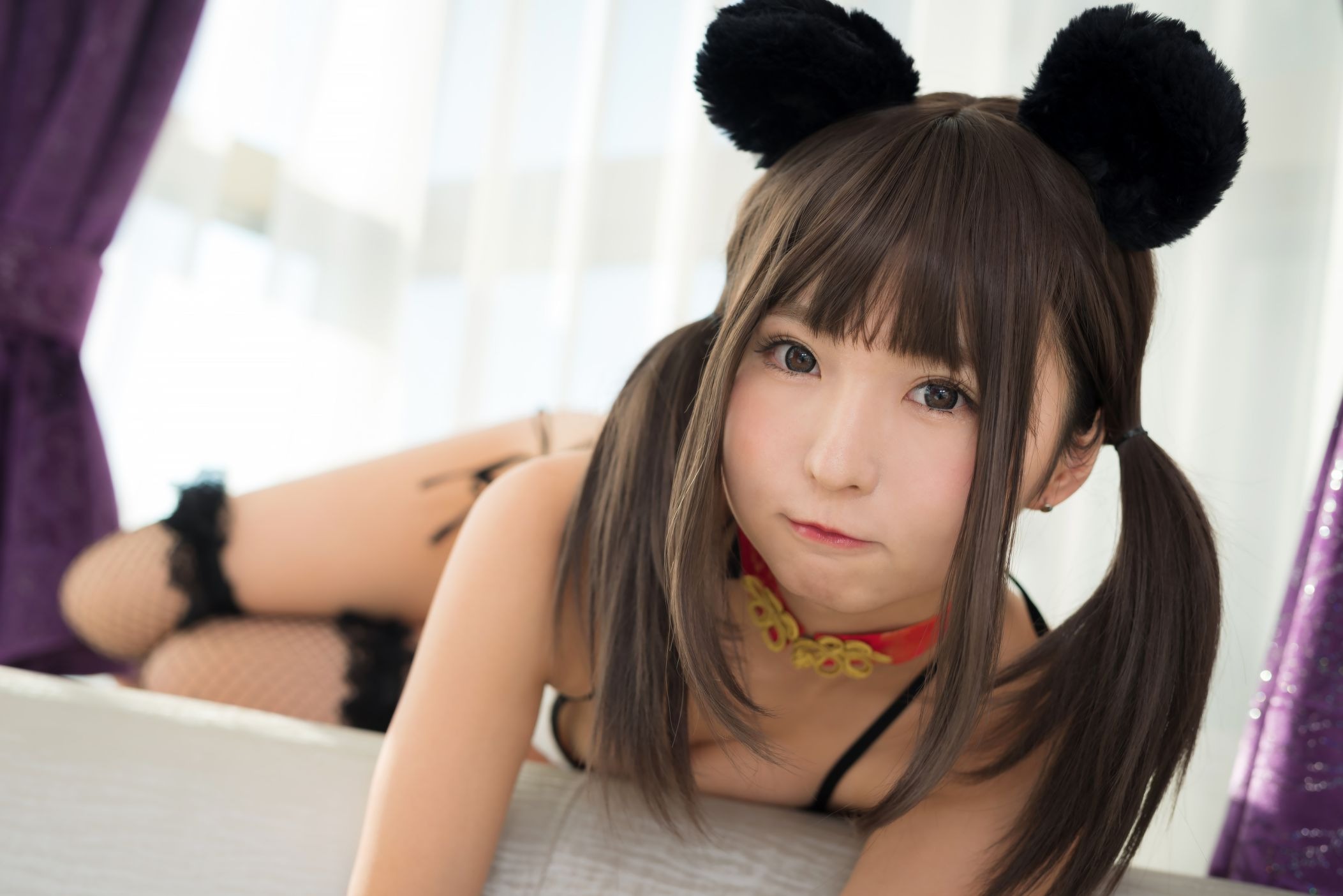 C95豆腐工場あんにゅい豆腐MamefuPet限时福利
