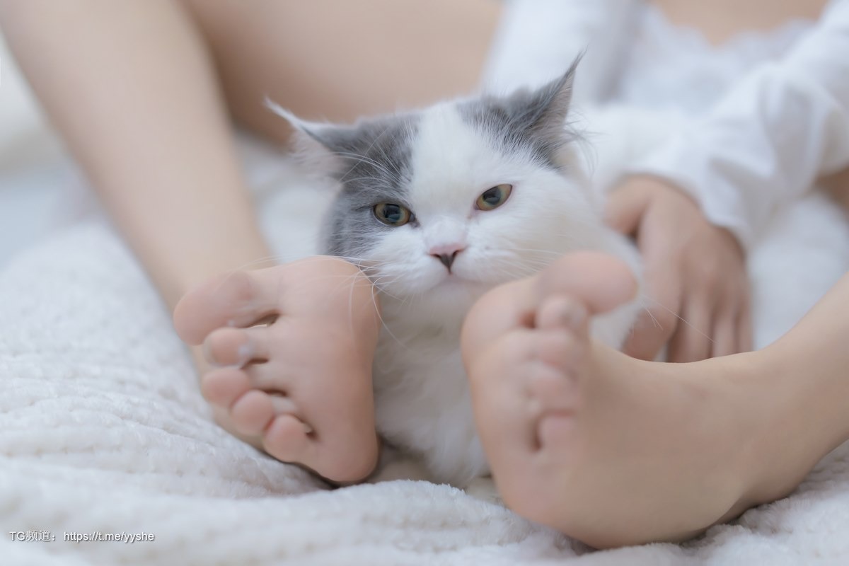 Cos过期米线线喵我和猫90P高清写真
