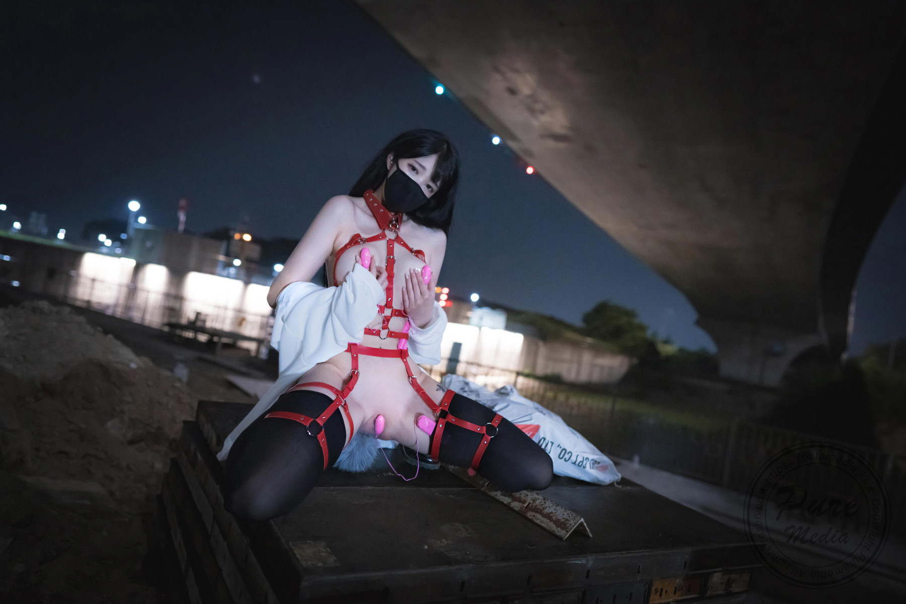 Aram??PUREMEDIAVol205TheDayofSlaveBonusSet01精选